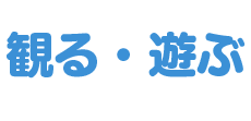 観る・遊ぶ